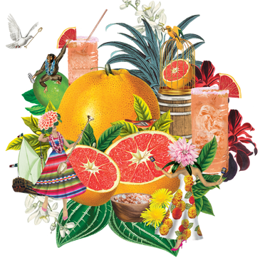 PINK GRAPEFRUIT SODA (24x 150ml) - BACKGROUND