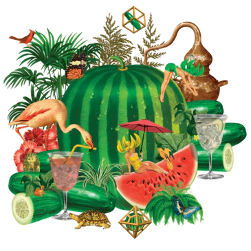 CUCUMBER & WATERMELON SODA (24x 150ml) - BACKGROUND