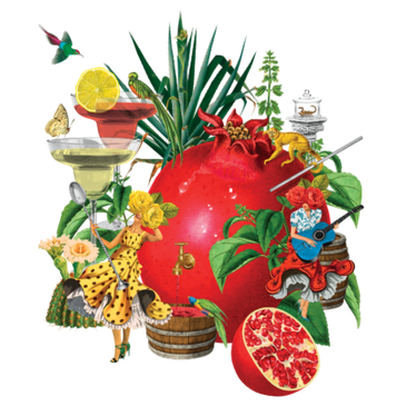 POMEGRANATE & BASIL SODA (24x 150ml) - BACKGROUND