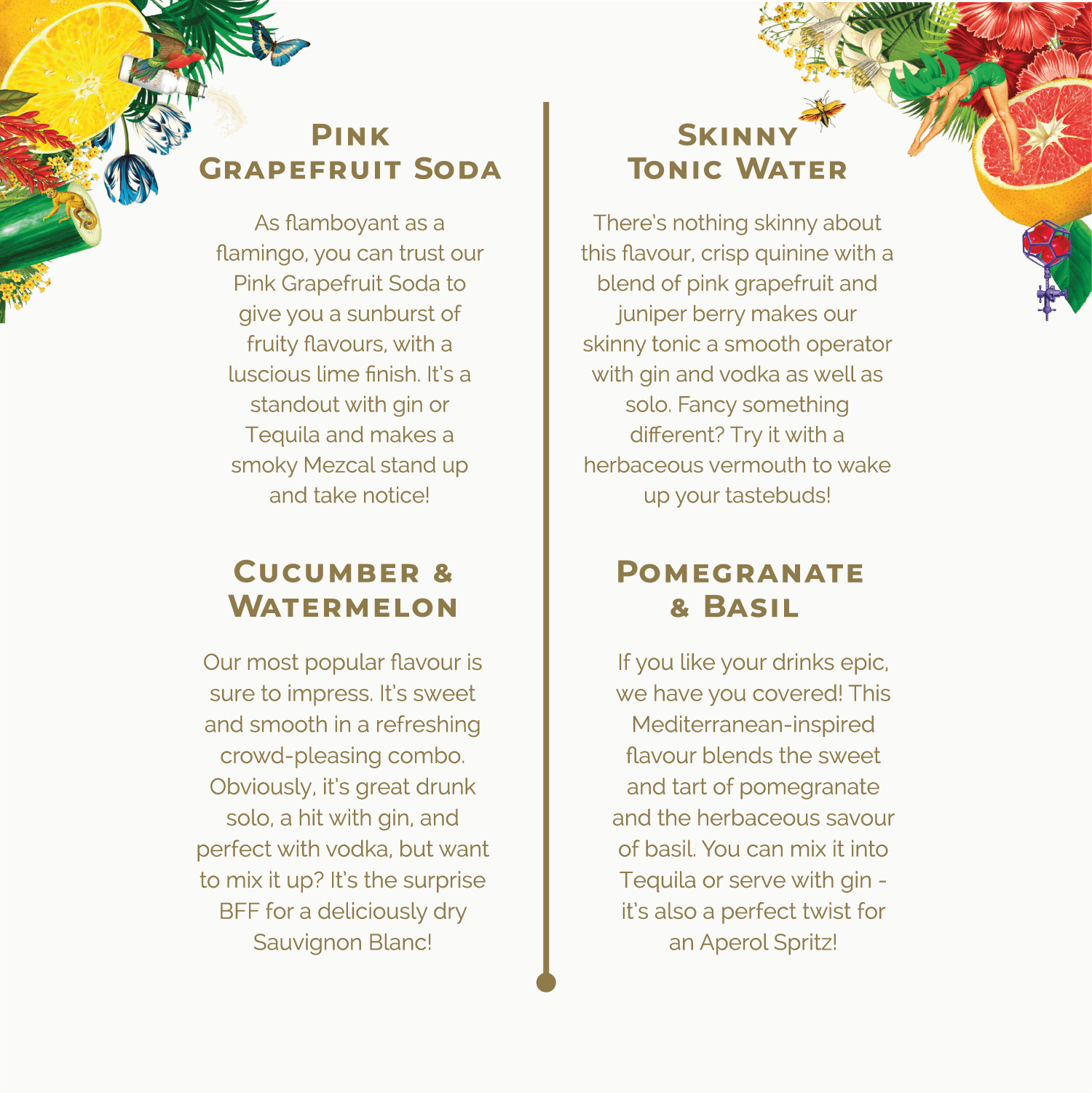 Discovery box (Try at 50% OFF!)