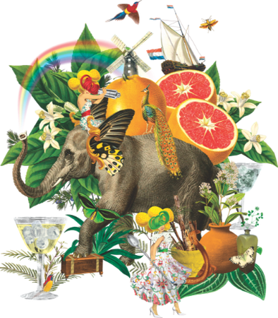 INDIAN TONIC WATER background