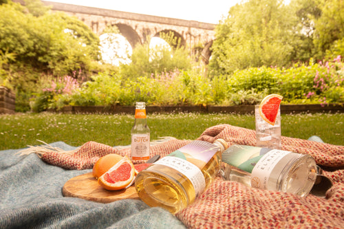 How is Tequila Made: What You Need to Know About Tequila