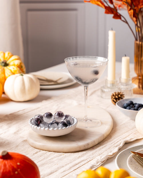 OUR BLUEBERRY ICE CUBES RECIPE