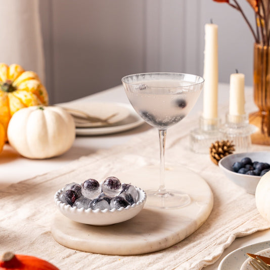 OUR BLUEBERRY ICE CUBES RECIPE