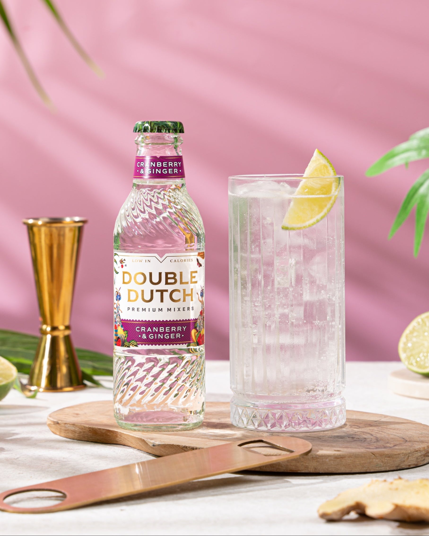 CRANBERRY & GINGER TONIC WATER