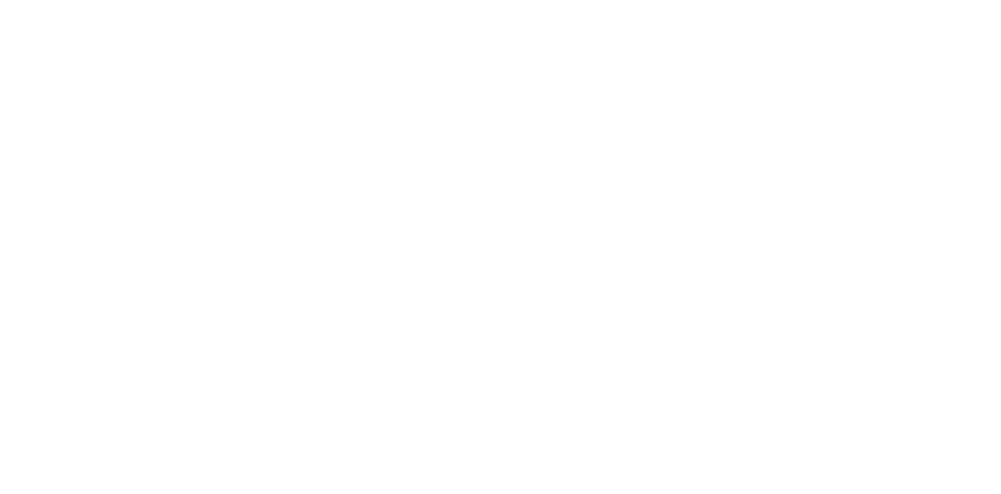 Double Dutch logo
