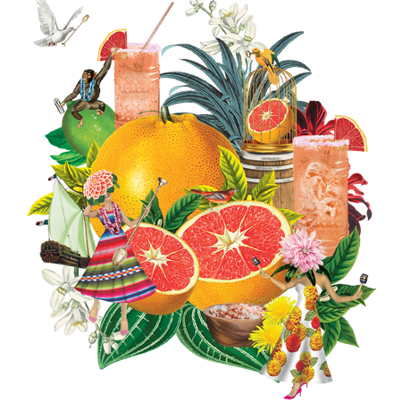 PINK GRAPEFRUIT SODA (24 x 200ml) background