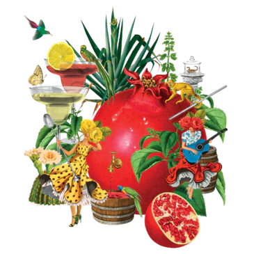 POMEGRANATE & BASIL SODA (24 x 200ml) background