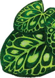 leaf background image 3