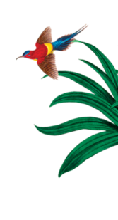 background image 2